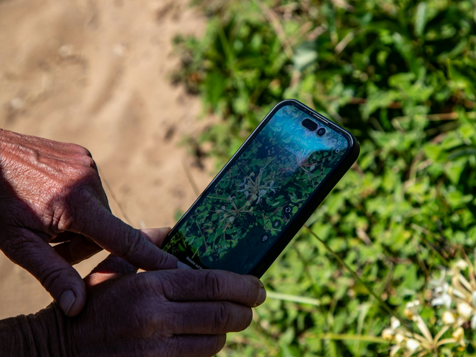 Mãos calejadas de agricultor segurando um celular com o mapa da área aberto